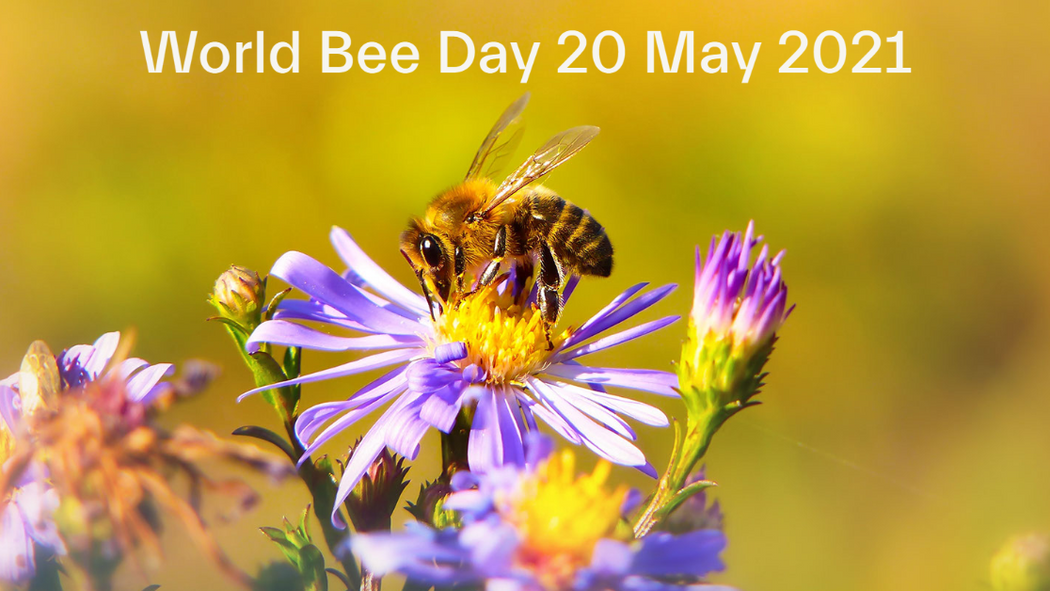 World bee day fb
