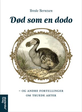 Bok 521