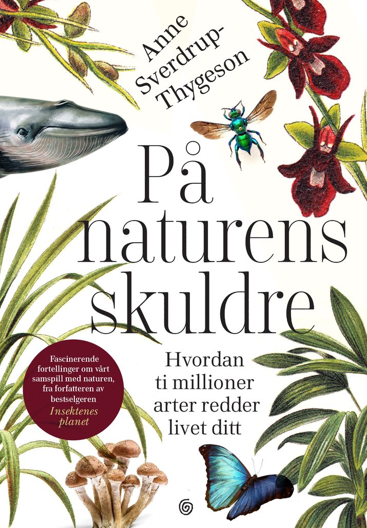 Sverdrup thygeson på naturens skuldre