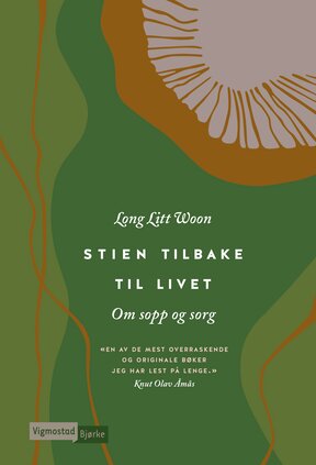 Woon stien tilbake hd