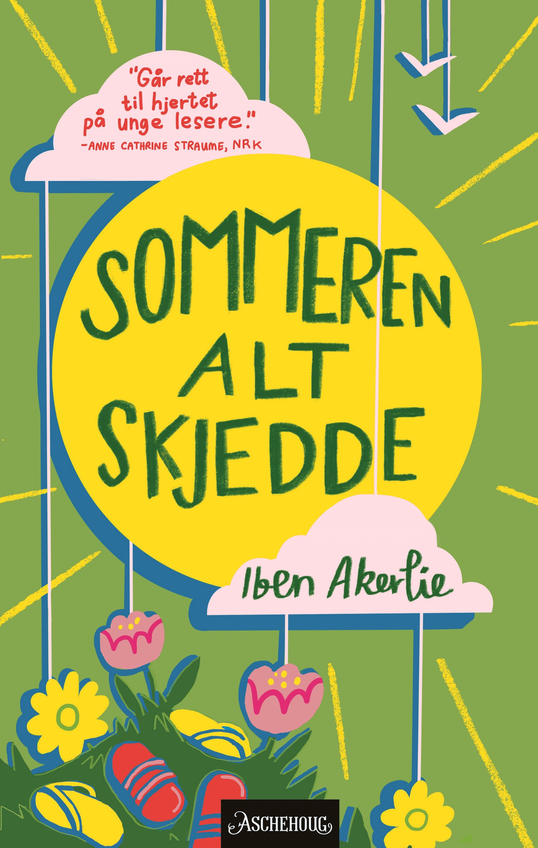 Akerlie sommeren alt skjedde 9788203378546