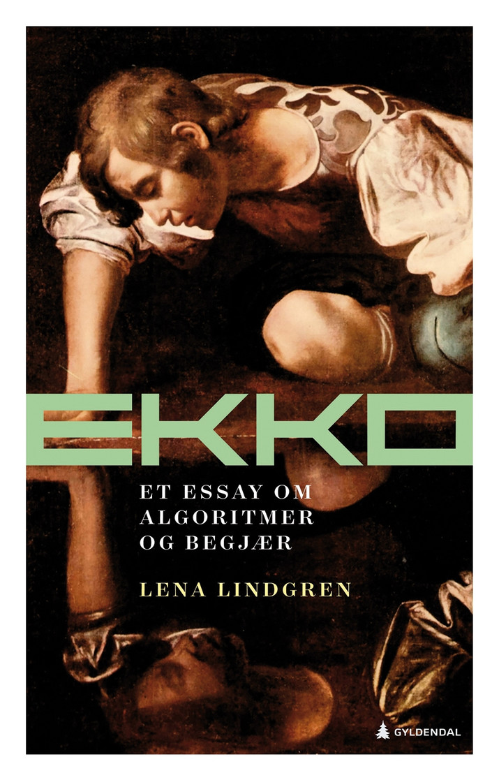 Lindgren ekko. et essay om algoritmer og begjaer
