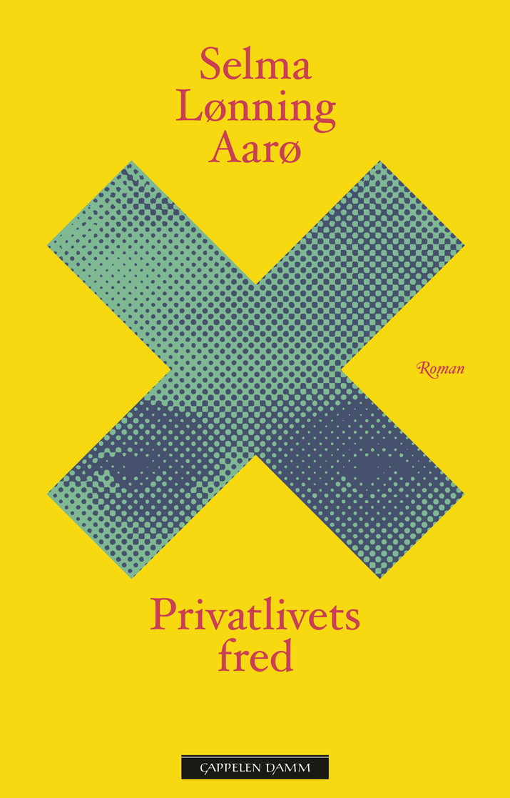 Aarø privatlivets fred 9788202721213