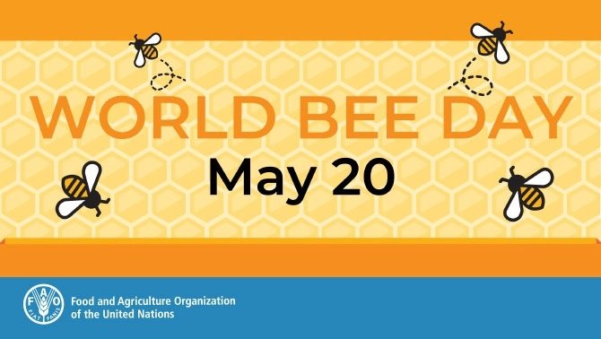 Large 5270 world bee day bee engaged