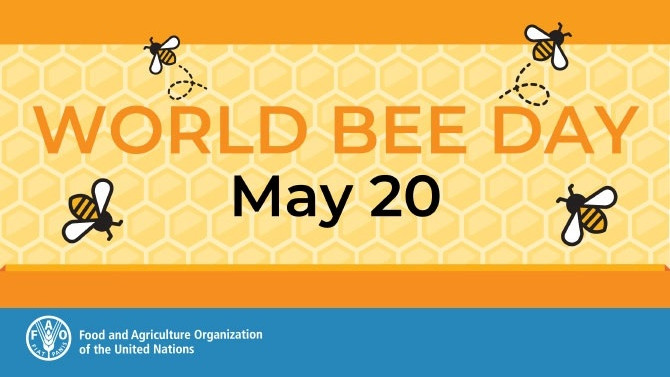 Large 5270 world bee day bee engaged