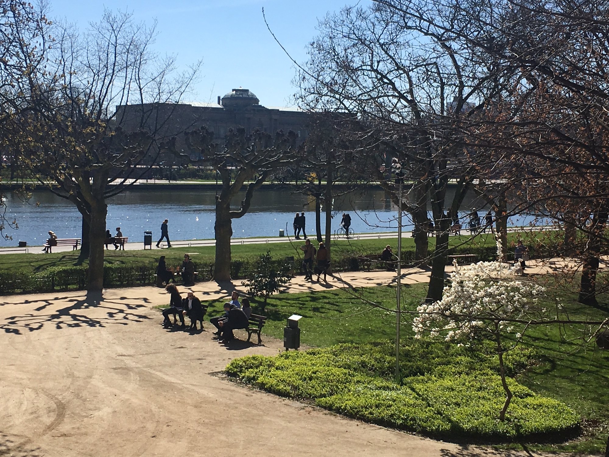 Frankfurt vårstemning langs elvebredden i frankfurt an main. städel museet i bakgrunnen foto marit ingvill sande