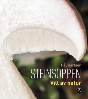 Karlsen porcini.  born to be wild