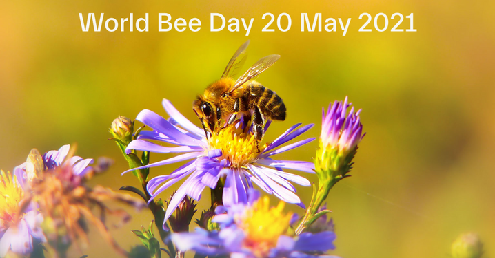 World bee day fb