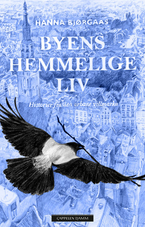 Bjørgaas byens hemmelige liv  9788202653330