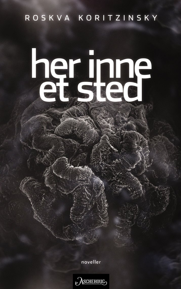 Koritzinsky her inne et sted hd